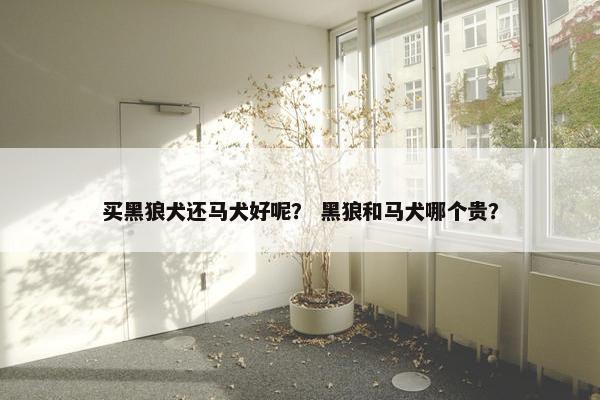 买黑狼犬还马犬好呢？ 黑狼和马犬哪个贵？