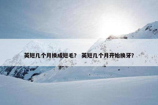 英短几个月换成短毛？ 英短几个月开始换牙？