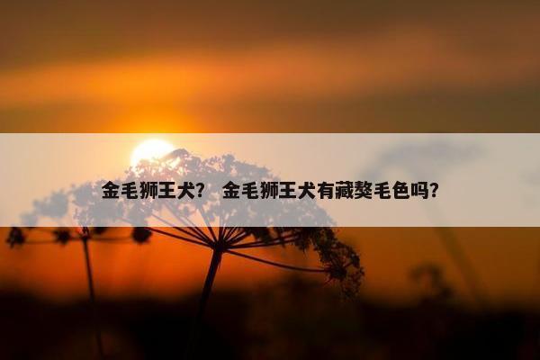 金毛狮王犬？ 金毛狮王犬有藏獒毛色吗？