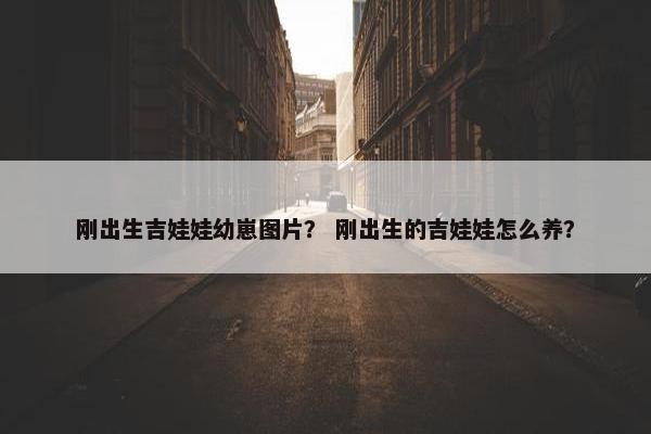 刚出生吉娃娃幼崽图片？ 刚出生的吉娃娃怎么养？