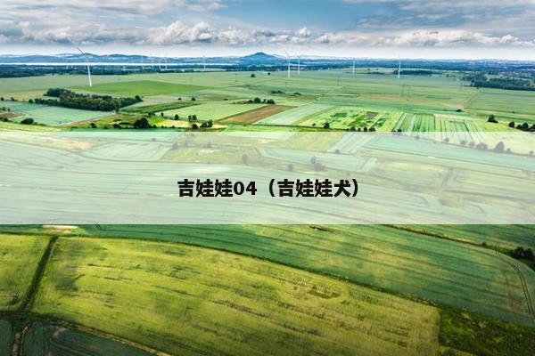 吉娃娃04（吉娃娃犬）