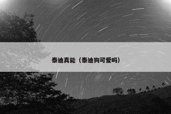 泰迪真能（泰迪狗可爱吗）