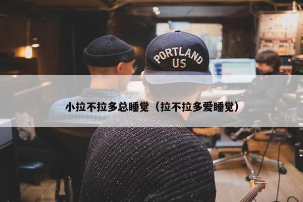 小拉不拉多总睡觉（拉不拉多爱睡觉）