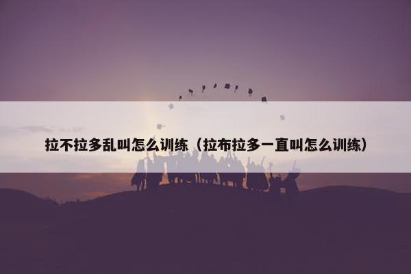 拉不拉多乱叫怎么训练（拉布拉多一直叫怎么训练）