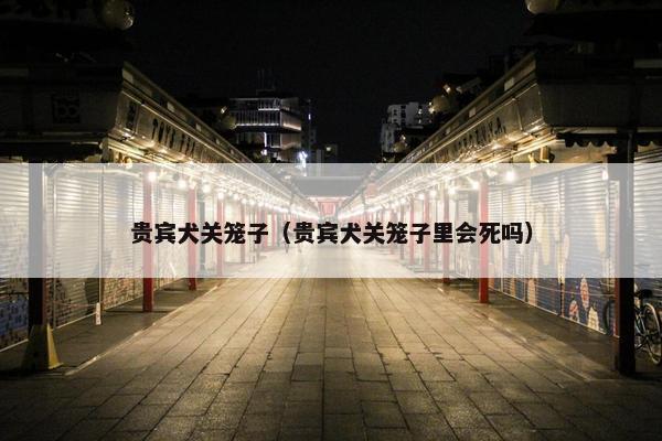 贵宾犬关笼子（贵宾犬关笼子里会死吗）