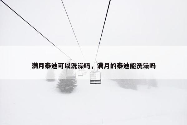 满月泰迪可以洗澡吗，满月的泰迪能洗澡吗