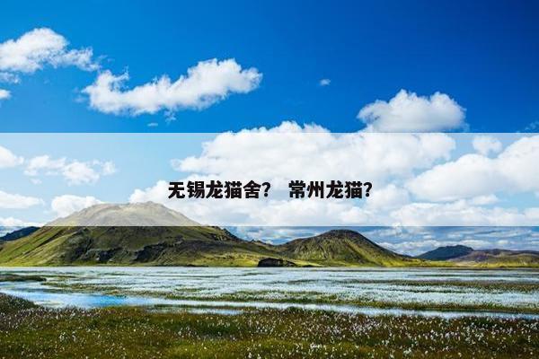 无锡龙猫舍？ 常州龙猫？