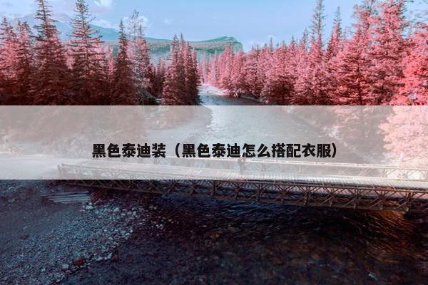 黑色泰迪装（黑色泰迪怎么搭配衣服）