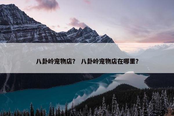 八卦岭宠物店？ 八卦岭宠物店在哪里？