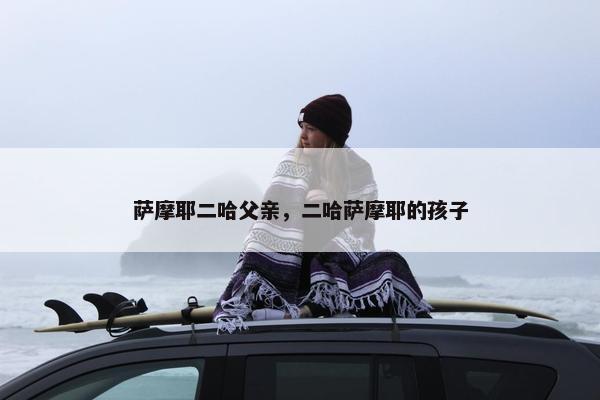 萨摩耶二哈父亲，二哈萨摩耶的孩子