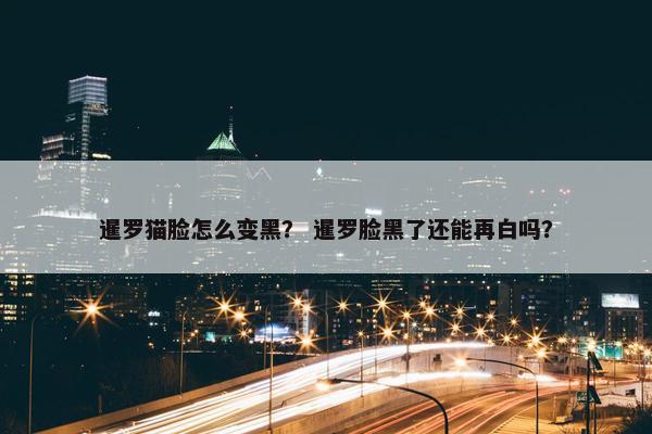 暹罗猫脸怎么变黑？ 暹罗脸黑了还能再白吗？