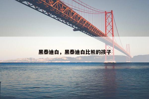 黑泰迪白，黑泰迪白比熊的孩子