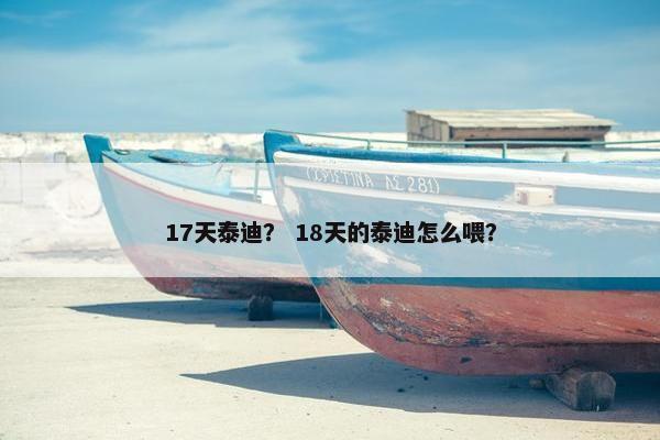 17天泰迪？ 18天的泰迪怎么喂？