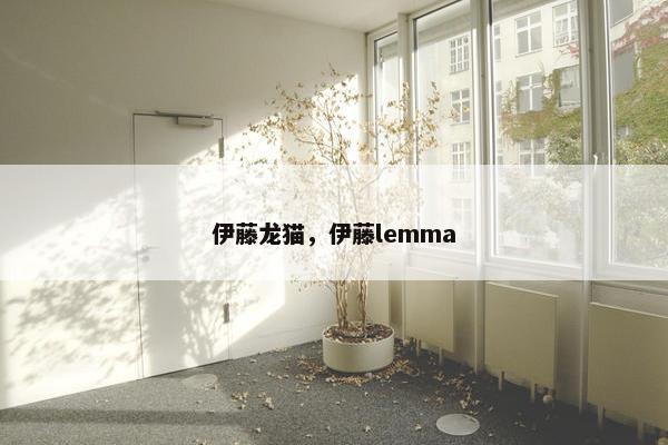 伊藤龙猫，伊藤lemma
