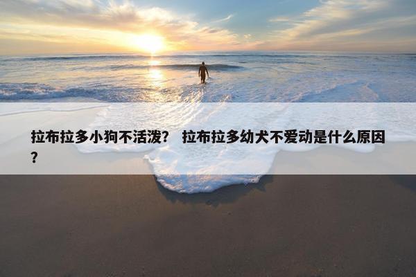 拉布拉多小狗不活泼？ 拉布拉多幼犬不爱动是什么原因？