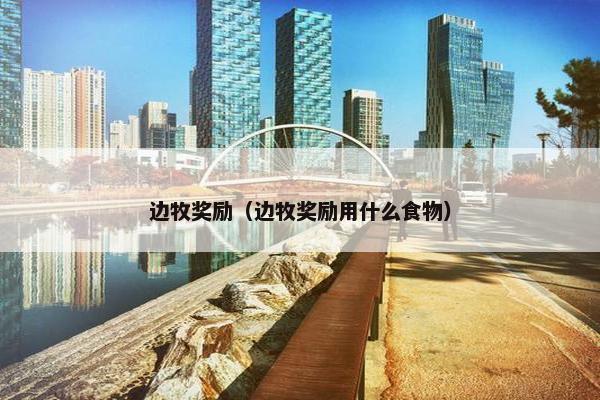 边牧奖励（边牧奖励用什么食物）
