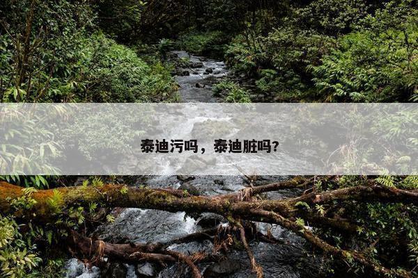 泰迪污吗，泰迪脏吗?