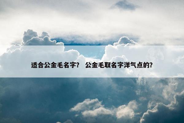 适合公金毛名字？ 公金毛取名字洋气点的？