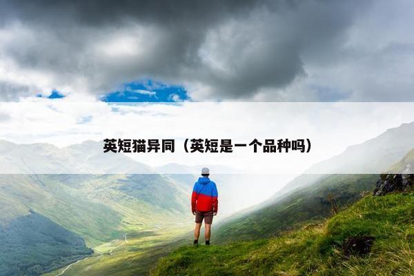 英短猫异同（英短是一个品种吗）