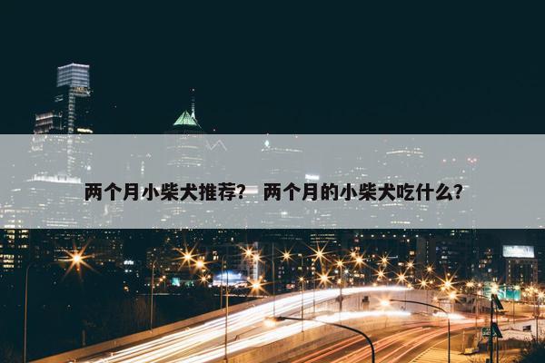 两个月小柴犬推荐？ 两个月的小柴犬吃什么？
