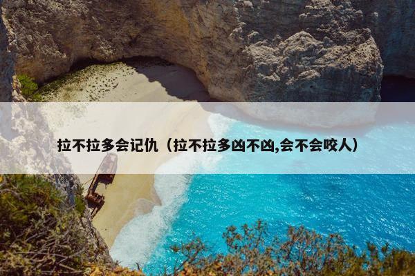 拉不拉多会记仇（拉不拉多凶不凶,会不会咬人）