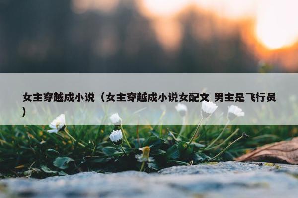 女主穿越成小说（女主穿越成小说女配文 男主是飞行员）