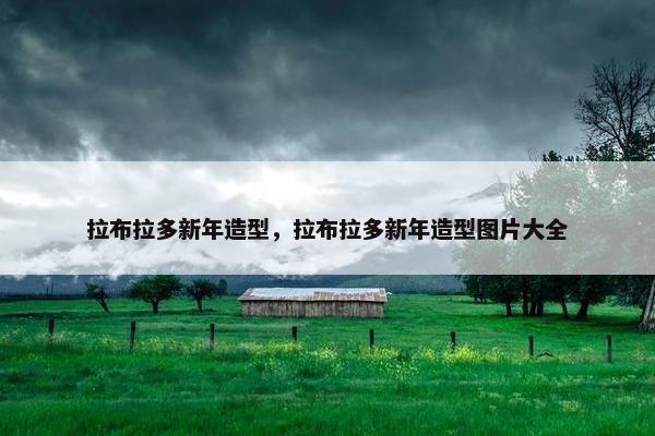拉布拉多新年造型，拉布拉多新年造型图片大全