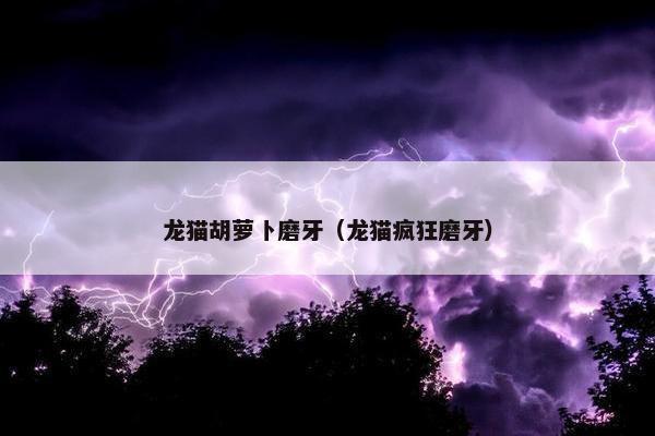 龙猫胡萝卜磨牙（龙猫疯狂磨牙）