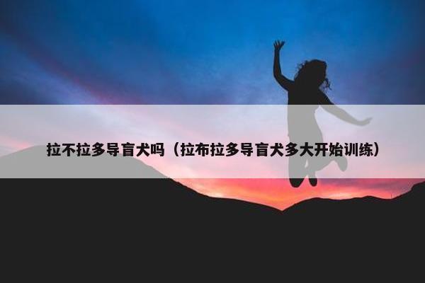 拉不拉多导盲犬吗（拉布拉多导盲犬多大开始训练）