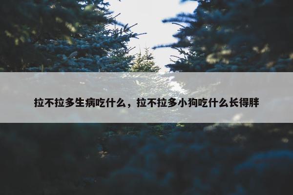 拉不拉多生病吃什么，拉不拉多小狗吃什么长得胖