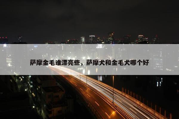 萨摩金毛谁漂亮些，萨摩犬和金毛犬哪个好