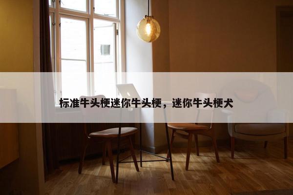 标准牛头梗迷你牛头梗，迷你牛头梗犬