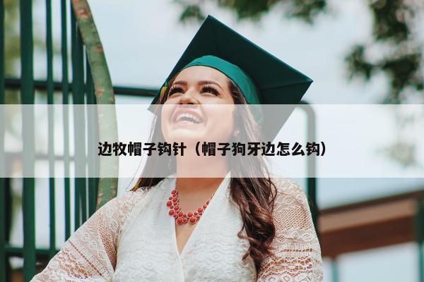 边牧帽子钩针（帽子狗牙边怎么钩）