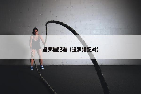 暹罗猫配猫（暹罗猫配对）