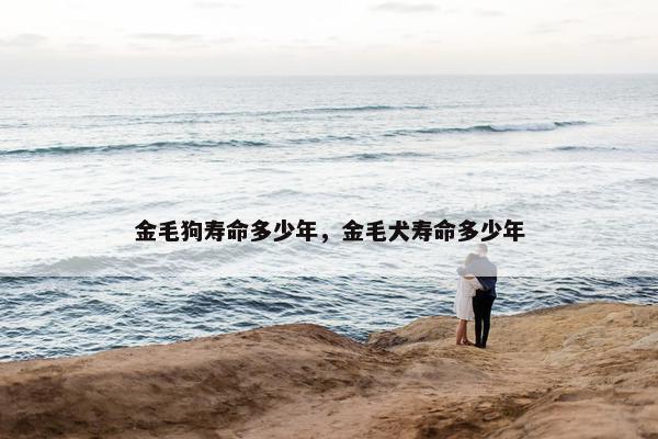 金毛狗寿命多少年，金毛犬寿命多少年