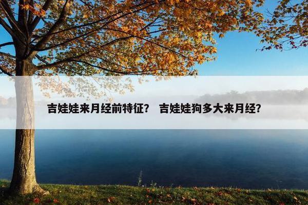吉娃娃来月经前特征？ 吉娃娃狗多大来月经？