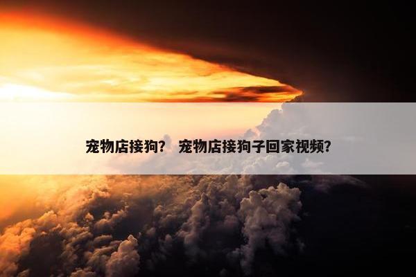 宠物店接狗？ 宠物店接狗子回家视频？