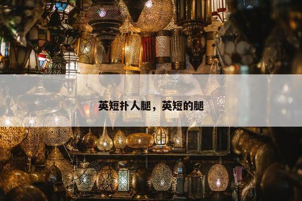 英短扑人腿，英短的腿