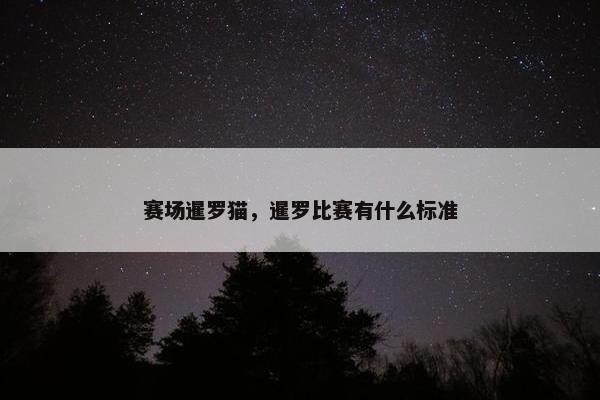 赛场暹罗猫，暹罗比赛有什么标准