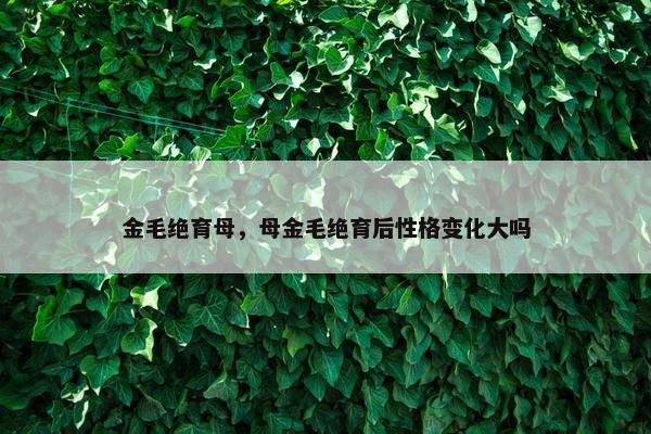 金毛绝育母，母金毛绝育后性格变化大吗