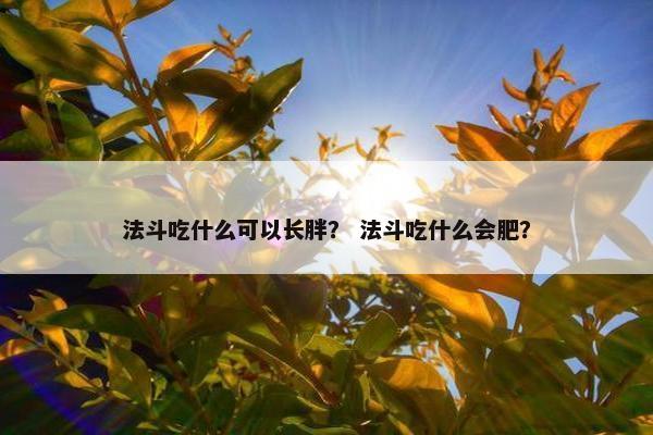 法斗吃什么可以长胖？ 法斗吃什么会肥？