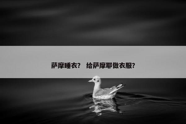 萨摩睡衣？ 给萨摩耶做衣服？
