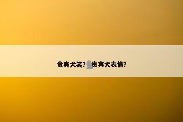 贵宾犬笑？ 贵宾犬表情？