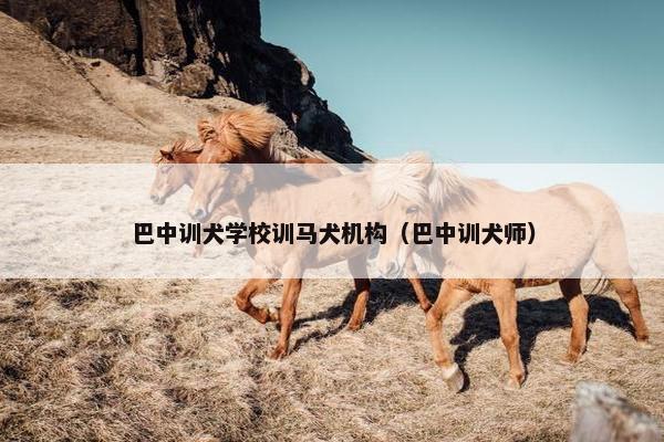 巴中训犬学校训马犬机构（巴中训犬师）