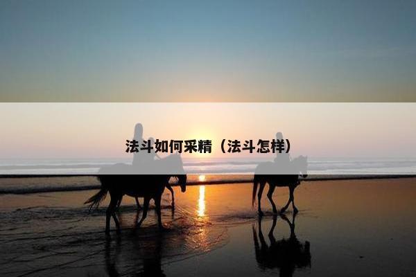 法斗如何采精（法斗怎样）