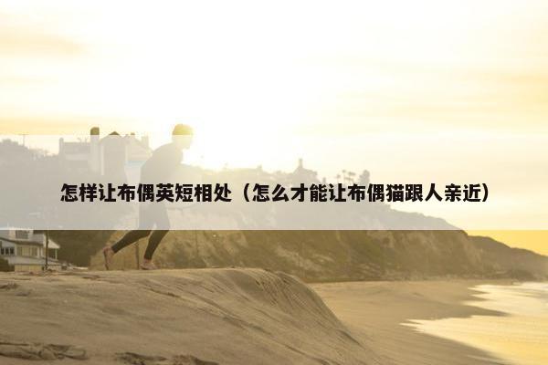 怎样让布偶英短相处（怎么才能让布偶猫跟人亲近）