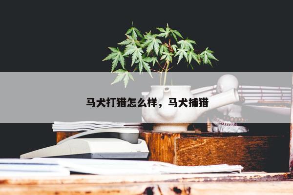 马犬打猎怎么样，马犬捕猎