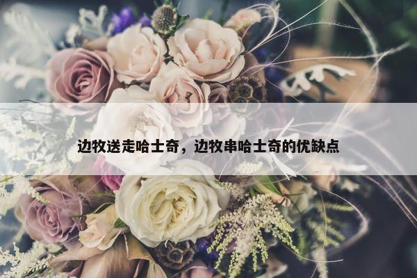 边牧送走哈士奇，边牧串哈士奇的优缺点