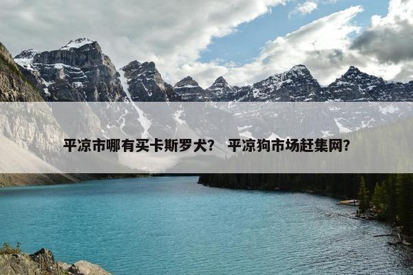 平凉市哪有买卡斯罗犬？ 平凉狗市场赶集网？