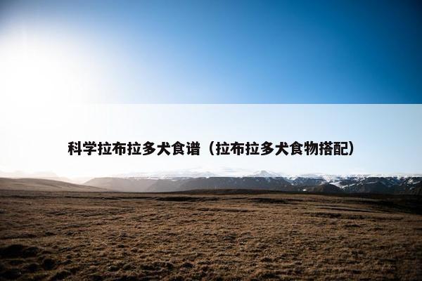 科学拉布拉多犬食谱（拉布拉多犬食物搭配）